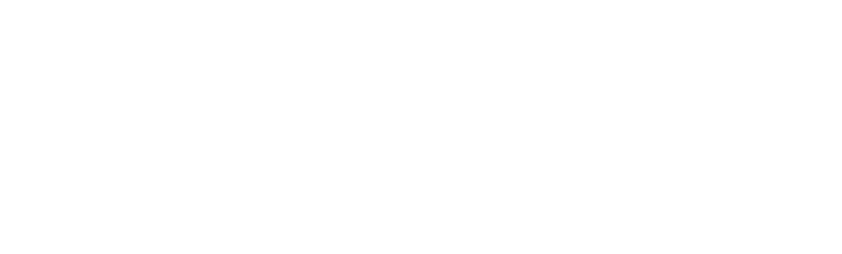 Regional Insurance Brokers logo white