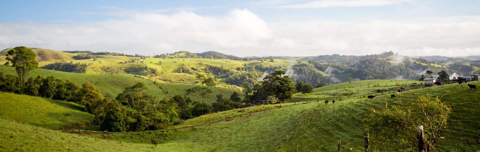 Atherton Tablelands on a Misty Morning