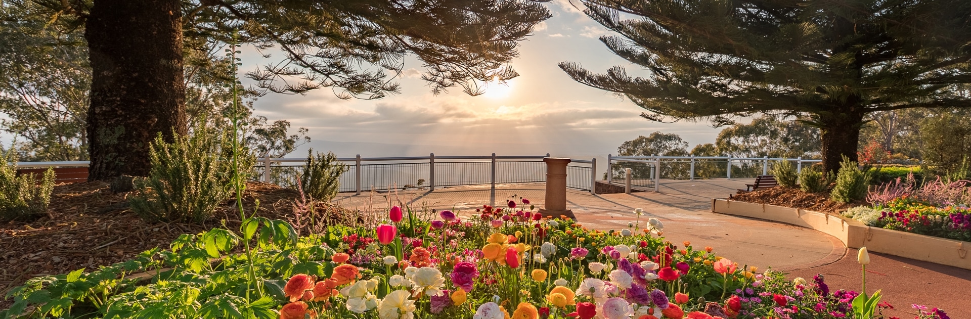 Beautiful vista in Toowoomba